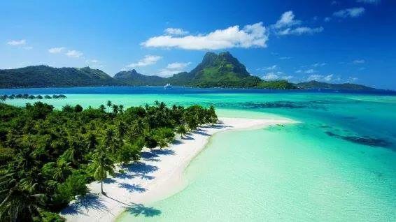 B & Bee Wild Island - Nature Song Fare Exterior foto